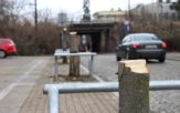 Skandal.  Co to za logika, według której w Opolu wycina się kilkuletnie kasztanowce?