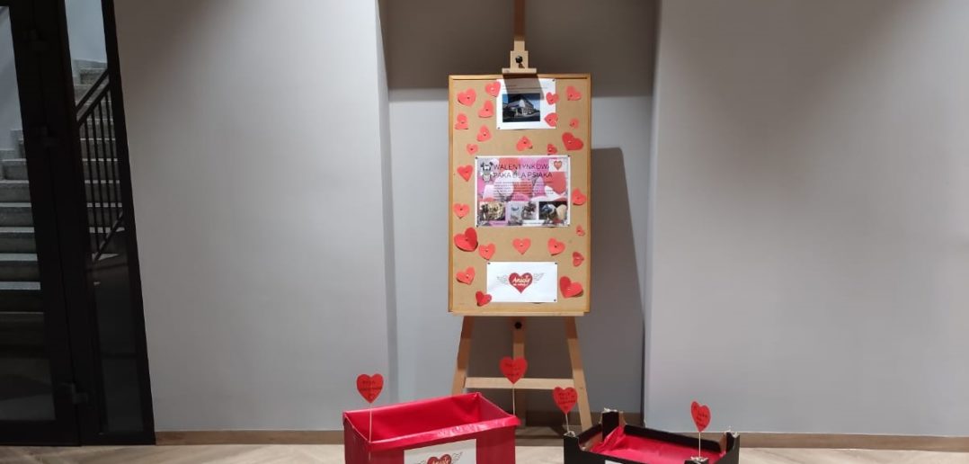 Walentynkowa paka dla psiaka &#8211; podzielmy się miłością