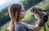 Pasja. Marta, opolska dr Dolittle. Galeria zdjęć