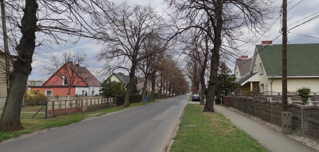 Gmina Łubniany. Przybędzie kilometrów ścieżki rowerowej, ubędzie drzew