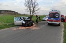 Kierująca skodą straciła panowanie nad autem i uderzyła w drzewo