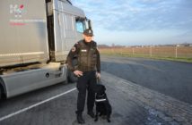 Psy służbowe KAS jako pierwsze w Polsce pomogą w wykrywaniu COVID-19