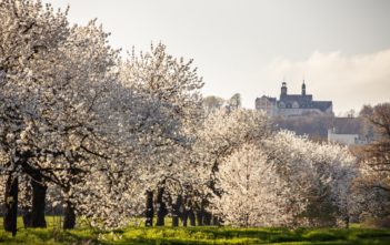 Park Krajobrazowy „Góry Św. Anny”, miejsce rodzinnych pikników, spotkań i pieszych wypraw