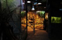 Wszystkie pawilony w opolskim zoo ponownie otwarte. Obowiązują jednak obostrzenia