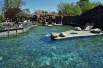 Rekordowa frekwencja w opolskim zoo. Zwiedzający chętnie kupują bilety elektroniczne, by nie stać w kolejce