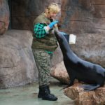 W opolskim zoo znowu można oglądać pokazy karmienia zwierząt i treningi medyczne