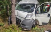 Kierowca busa wjechał w drzewo na trasie Ochodze &#8211; Szydłów