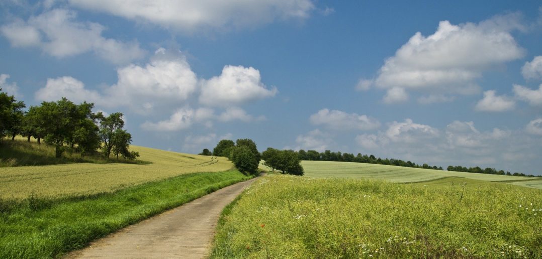 Drogi dojazdowe do pól &#8211; nie tylko dla rolników