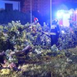 Wypadek na skrzyżowaniu ulic Ozimskiej i Wiejskiej w Opolu