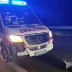 Karetka uderzyła w dzika na obwodnicy północnej Opola