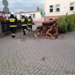 Pracowity dzień opolskich strażaków. Ponad 260 interwencji w regionie z powodu silnego wiatru