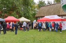 Targi miodów i rękodzieła w bierkowickim skansenie przyciągnęły tłumy zwiedzających
