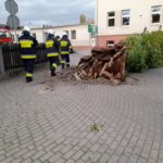 Pracowity dzień opolskich strażaków. Ponad 260 interwencji w regionie z powodu silnego wiatru