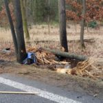 33-latek stracił panowanie nad bmw i zakończył jazdę na drzewie
