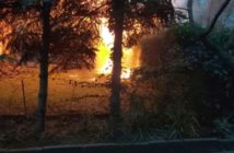 Pożar na ul. Stokrotek w Opolu. Ewakuowano trzy osoby