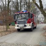 Pożar na terenie Ogrodu Zoologicznego w Opolu