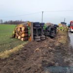 Ciężarówka przewożąca drewno przewróciła się do rowu na dk46