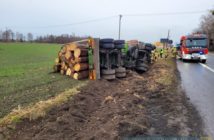 Ciężarówka przewożąca drewno przewróciła się do rowu na dk46