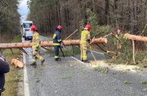 Silny wiatr daje się we znaki strażakom i mieszkańcom Opolszczyzny
