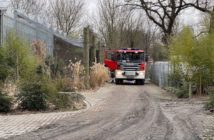 Pożar na terenie Ogrodu Zoologicznego w Opolu