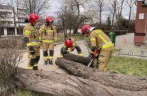 Ponad sto interwencji strażaków w regionie w związku z silnym wiatrem
