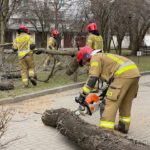 Ponad sto interwencji strażaków w regionie w związku z silnym wiatrem