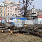 Wycięto drzewa przed Dworcem Głównym w Opolu. Pod przebudowę placu