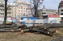 Wycięto drzewa przed Dworcem Głównym w Opolu. Pod przebudowę placu