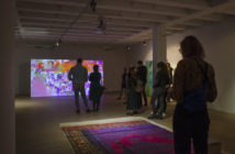 Ostatnie dni z wystawą Magdaleny Żołędź „Niska rozdzielczość”