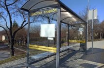 Szklane pułapki. Ptaki rozbijają się o wiaty przystanków autobusowych