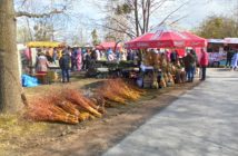 Tłumy zwiedzających na Jarmarku Wielkanocnym w bierkowickim skansenie