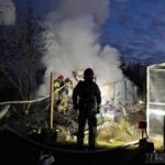 Pożar altanki na ulicy Koszyka w Opolu. Na miejscu trzy zastępy straży pożarnej