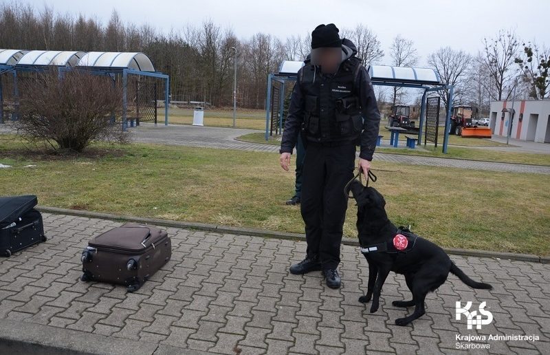 15 gram marihuany i 63 gramy amfetaminy w bagażach podróżujących