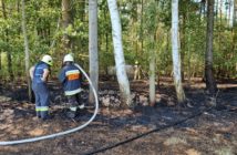 Drugi stopień zagrożenia pożarowego w opolskich lasach. Do wybuchu pożaru wystarczy iskra