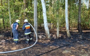 Drugi stopień zagrożenia pożarowego w opolskich lasach. Do wybuchu pożaru wystarczy iskra