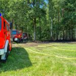 Drugi stopień zagrożenia pożarowego w opolskich lasach. Do wybuchu pożaru wystarczy iskra