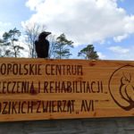 Na Opolszczyźnie powstaje profesjonalny ośrodek dla dzikich zwierząt