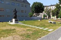 Jak często kosi się miejskie trawniki w Opolu?