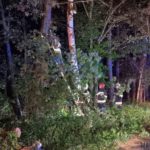 Drzewo przewróciło się na jadącego mercedesa na trasie Ligota Turawska &#8211; Bierdzany