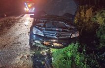 Drzewo przewróciło się na jadącego mercedesa na trasie Ligota Turawska - Bierdzany