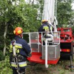 Niemal 250 interwencji strażaków po nawałnicy na Opolszczyźnie. Połamane drzewa, zalane piwnice i uszkodzone samochody