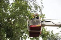 Niemal 250 interwencji strażaków po nawałnicy na Opolszczyźnie. Połamane drzewa, zalane piwnice i uszkodzone auta