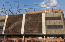 Uschły "zielone ściany" na budynku centrum przesiadkowego Opole Główne. Powód: awaria nawadniania