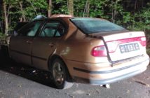 Wypadek w Czarnowąsach. Kierujący seatem uderzył w drzewo