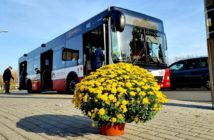 Wszystkich Świętych 2022. Zmiany w kursowaniu autobusów MZK Opole