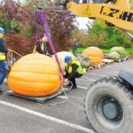 Festiwal Dyni Bania Fest w Krapkowicach. Najcięższa dynia waży 604,5 kg