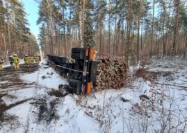 Ciężarówka przewożąca drewno przewróciła się w lesie