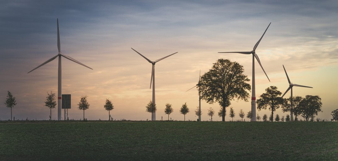 Jak powinna przebiegać transformacja energetyczna? Dla Polaków kluczowe są ceny, środowisko i niezależność