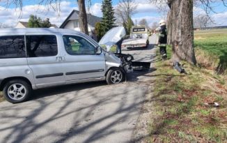 Grabie. Kierująca citroenem uderzyła w drzewo Grabie. Kierująca citroenem uderzyła w drzewo