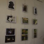 Wystawa fotografii Jerzego Żyły w galerii „Studnia” w Krapkowicach